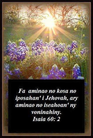 Aminao.jpg, 42 KB