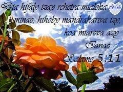 Hifaly anie.jpg, 20 KB