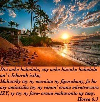 Ho avy Izy.jpg, 37 KB