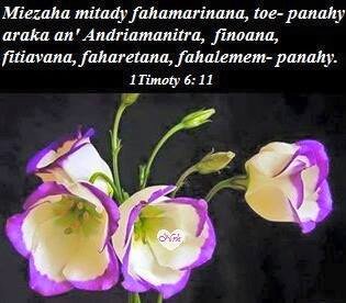 Izany no sarobidy indrindra.jpg, 25 KB