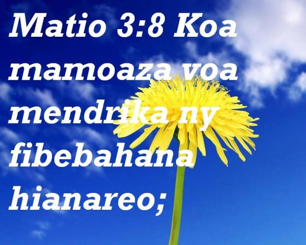 Mamoaza.jpg, 70 KB