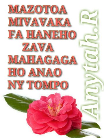 Mazotoa.jpg, 78 KB