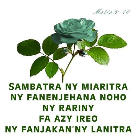 Miaritra.jpg, 33 KB