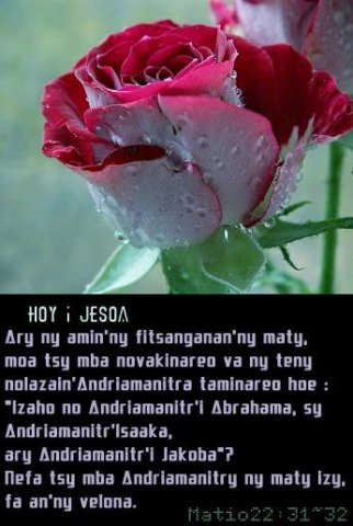 Ny amin ny fitsanganana amin ny maty.jpg, 31 KB