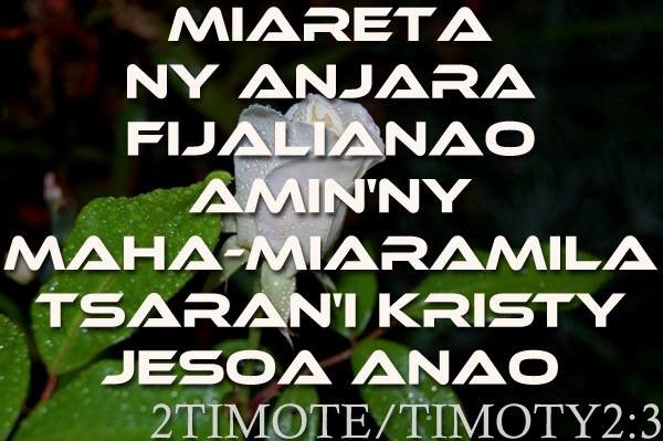 Ny anjaranao.jpg, 44 KB