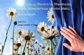 Ny fihevitro tsy fihevitrareo.jpg, 14 KB