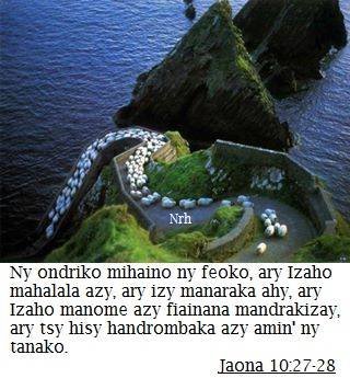 Ny ondriko mihaino ny feoko.jpg, 27 KB