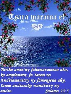 Tariho aho.jpg, 23 KB
