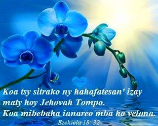 Tsy sitrany.jpg, 24 KB