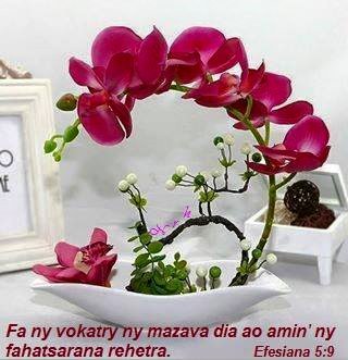 Zanaky ny Mazava.jpg, 28 KB