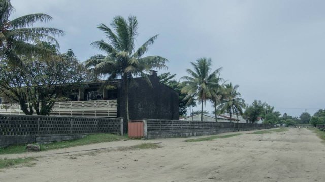 carapace LT tamatave.jpg, 63 KB