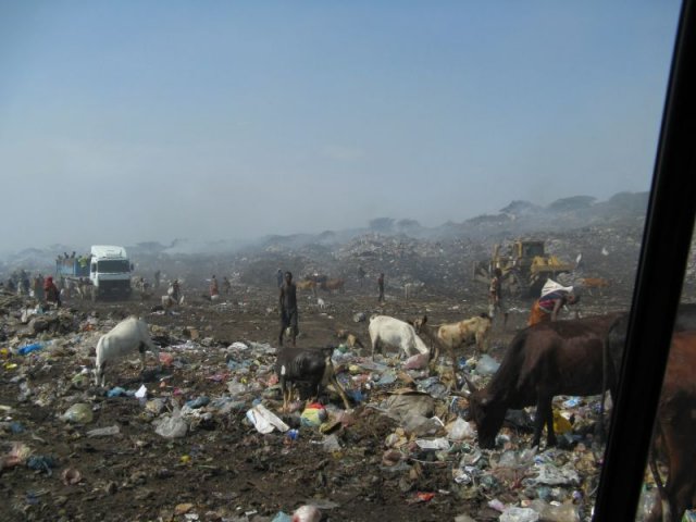 img1412.jpg, 68 KB