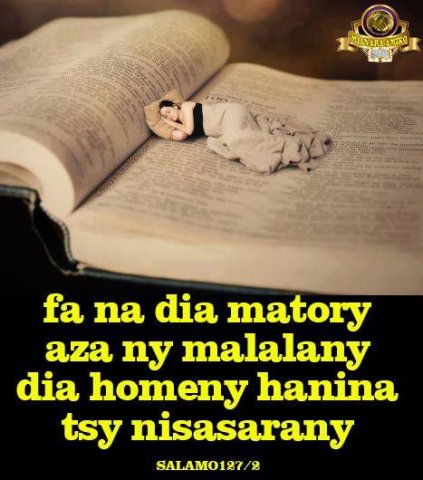 na dia matory aza.jpg, 41 KB