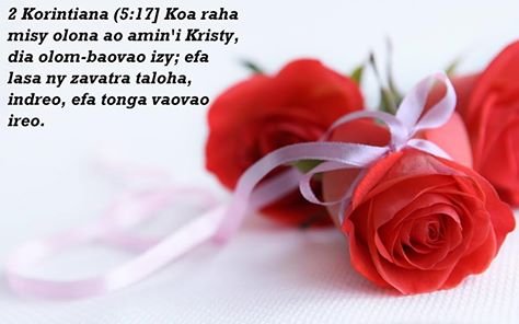 olom-baovao.jpg, 23 KB